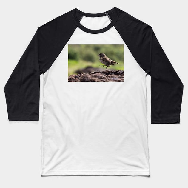 Galapagos Finch Baseball T-Shirt by Withns
